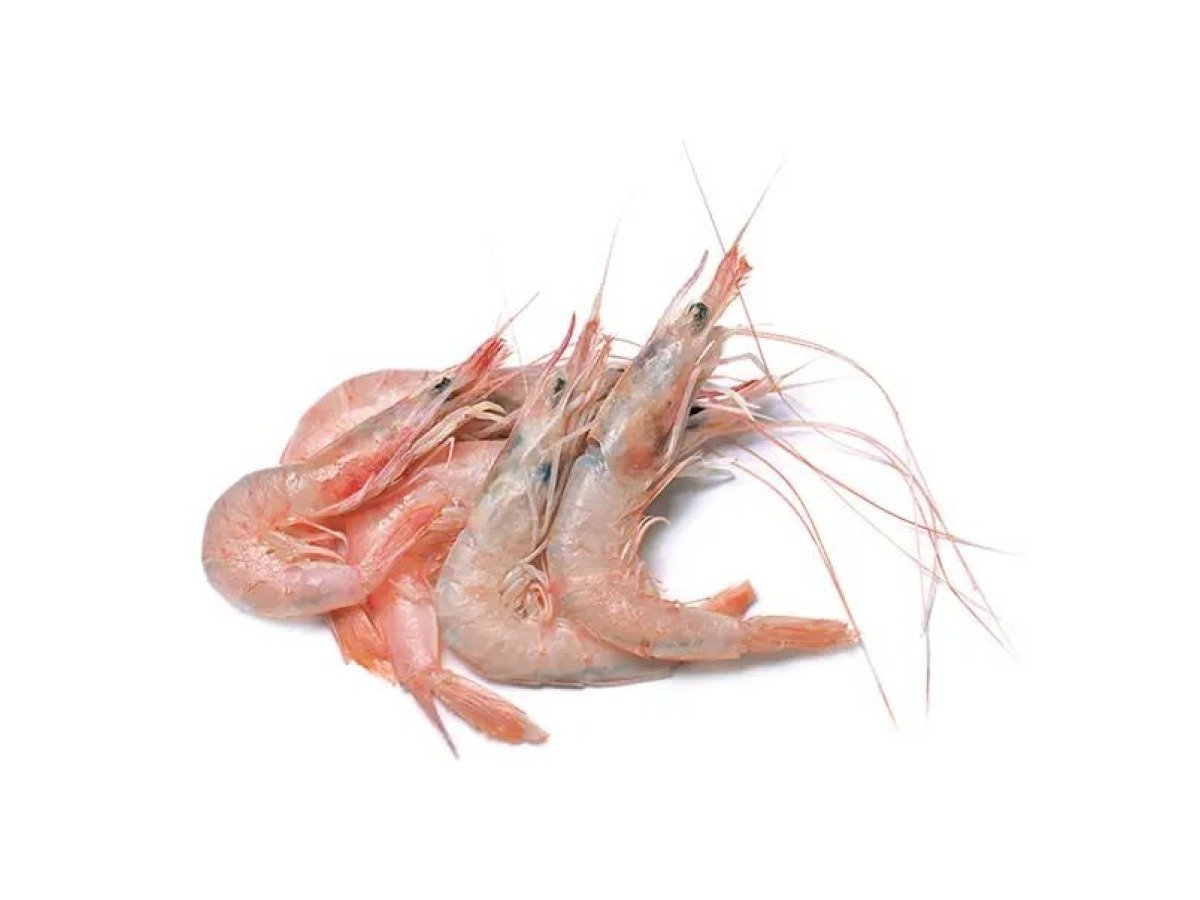 Deep-water rose shrimp